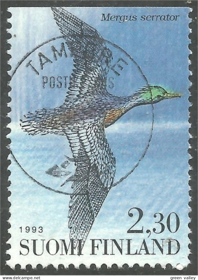 OI-179b TAMPERE Finland 1993 Oiseau Bird Canard Duck Ente Anatra Pato Eend - Sonstige & Ohne Zuordnung