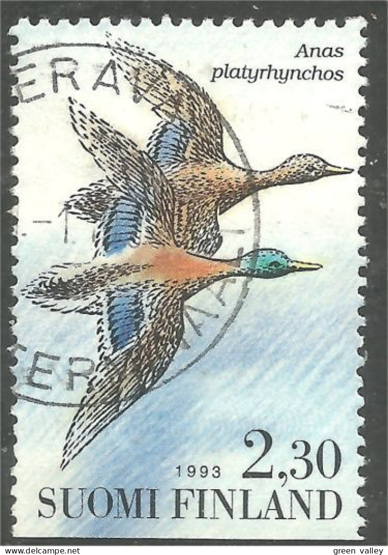 OI-180a KERAVA Finland 1993 Oiseau Bird Canard Duck Ente Anatra Pato Eend - Altri & Non Classificati