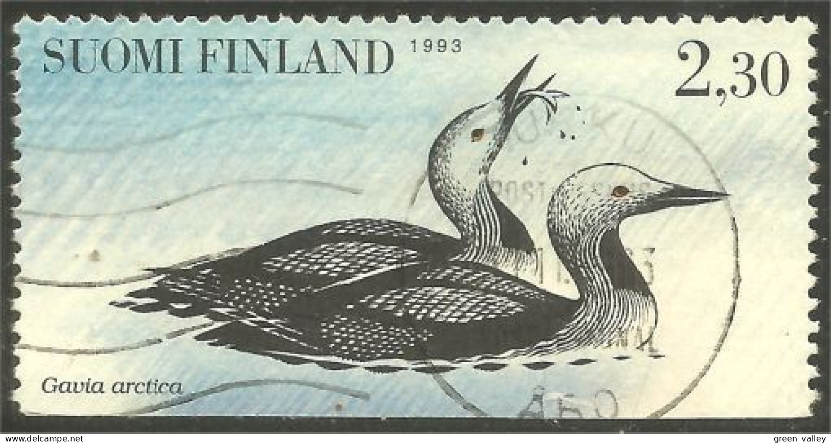 OI-181a TURKU Finland 1993 Oiseau Bird Canard Duck Ente Anatra Pato Eend - Other & Unclassified