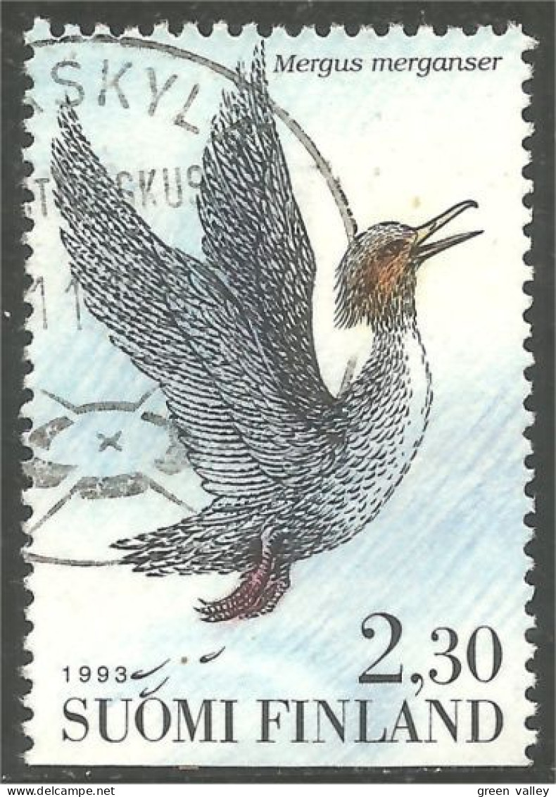 OI-177a JYVASKYLA Finland 1993 Oiseau Bird Canard Duck Ente Anatra Pato Eend - Other & Unclassified