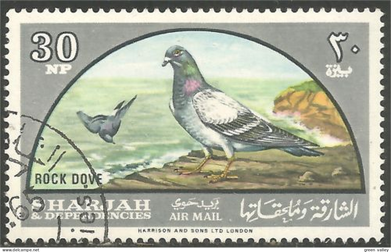 OI-170 Sharjah 30 NP Dove Colombe Pigeon Colomba Duif Taube Paloma - Autres & Non Classés