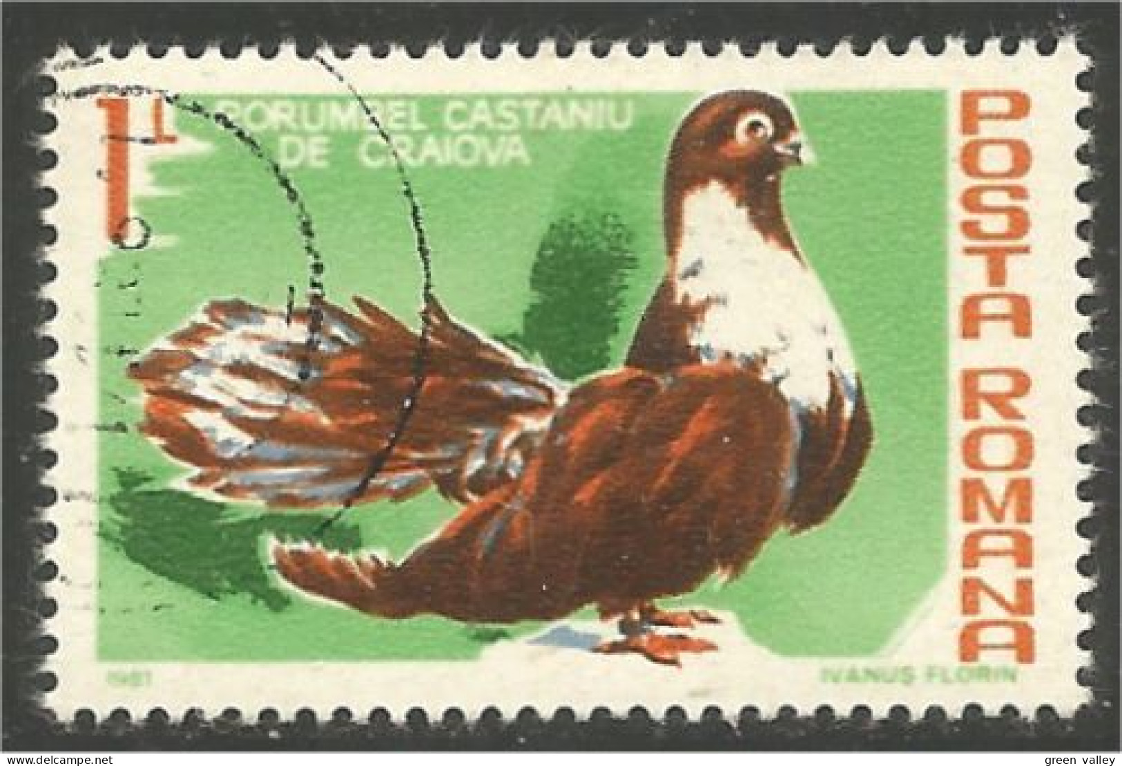 OI-175 Roumanie 1L Dove Colombe Pigeon Colomba Duif Taube Paloma - Other & Unclassified