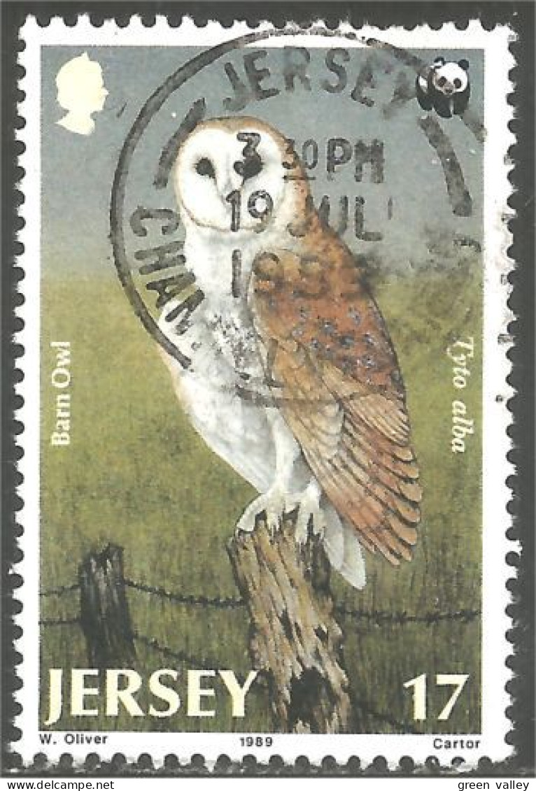 OI-164 Jersey WWF Hibou Chouette Owl Eule Gufo Uil Buho - Eulenvögel