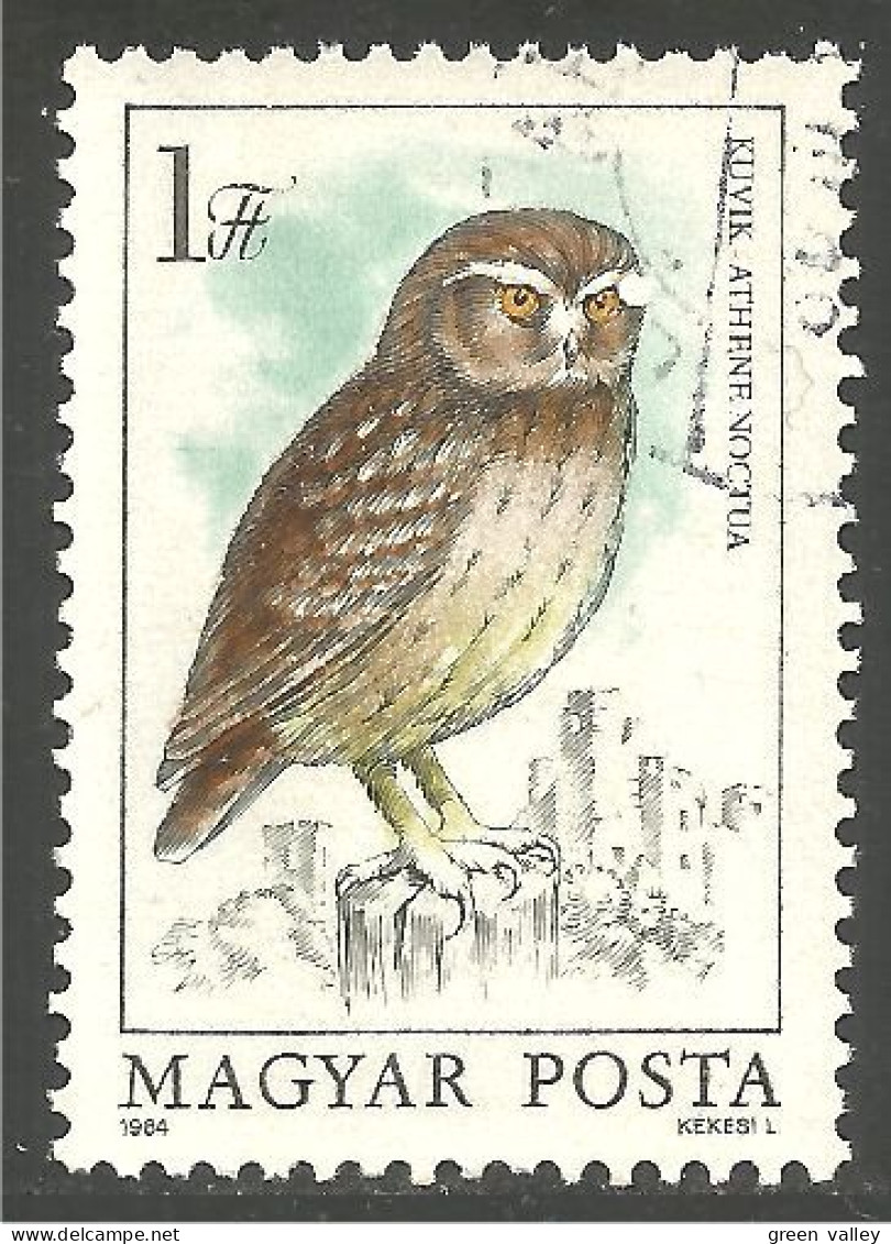 OI-159 Hongrie Hibou Chouette Owl Eule Gufo Uil Buho - Búhos, Lechuza