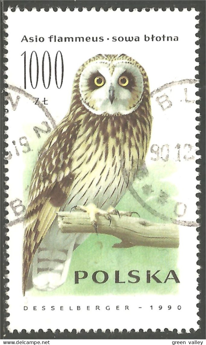 OI-157 Polska Hibou Chouette Owl Eule Gufo Uil Buho - Owls