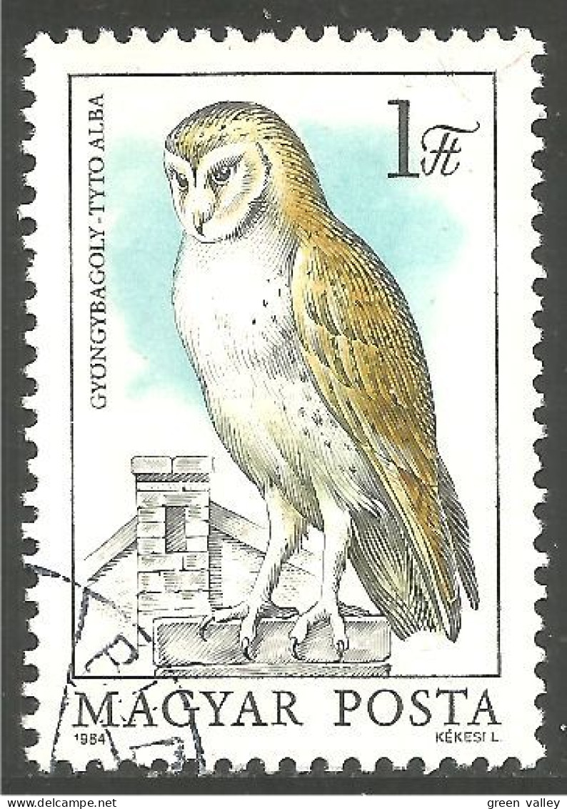 OI-158 Hongrie Hibou Chouette Owl Eule Gufo Uil Buho - Eulenvögel