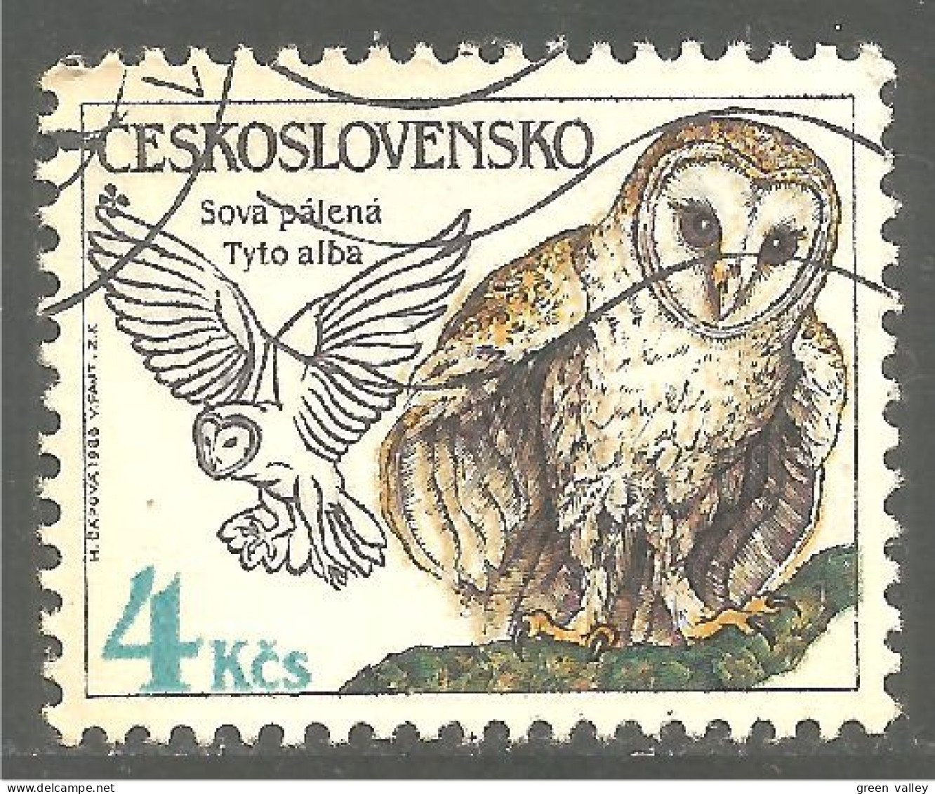 OI-156 Ceskoslovenko Hibou Chouette Owl Eule Gufo Uil Buho - Eulenvögel
