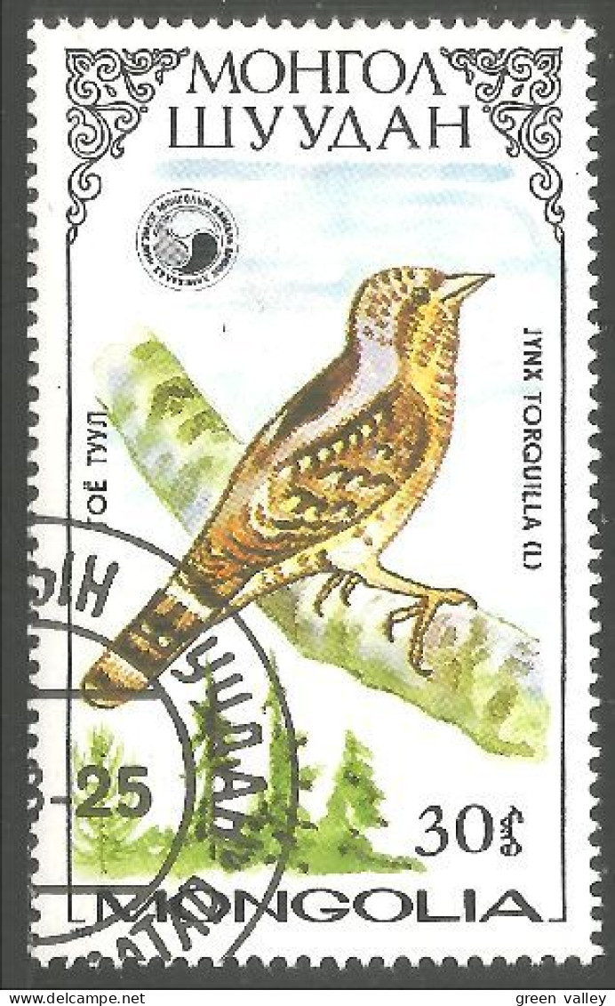 OI-142 Mongolie Oiseau Bird Torquilla Uccello Vogel - Sonstige & Ohne Zuordnung