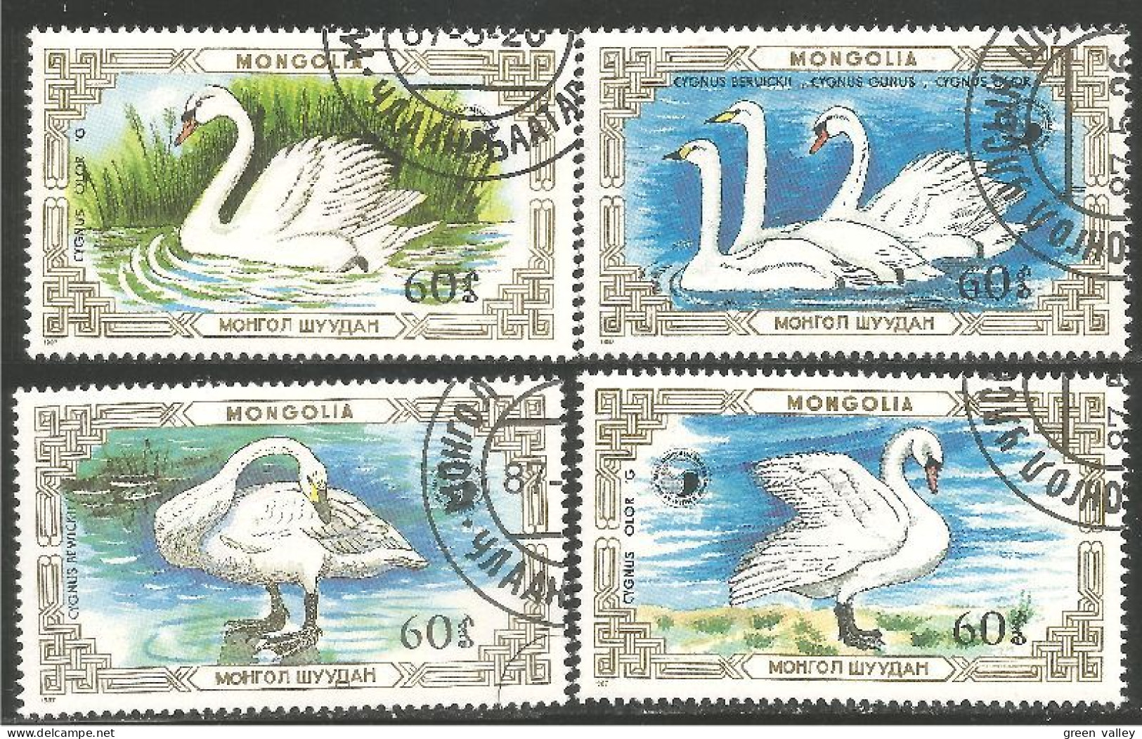 OI-144 Mongolie Cygne Swan Cisne Schwan Cigno Zwaan Cygnus - Autres & Non Classés