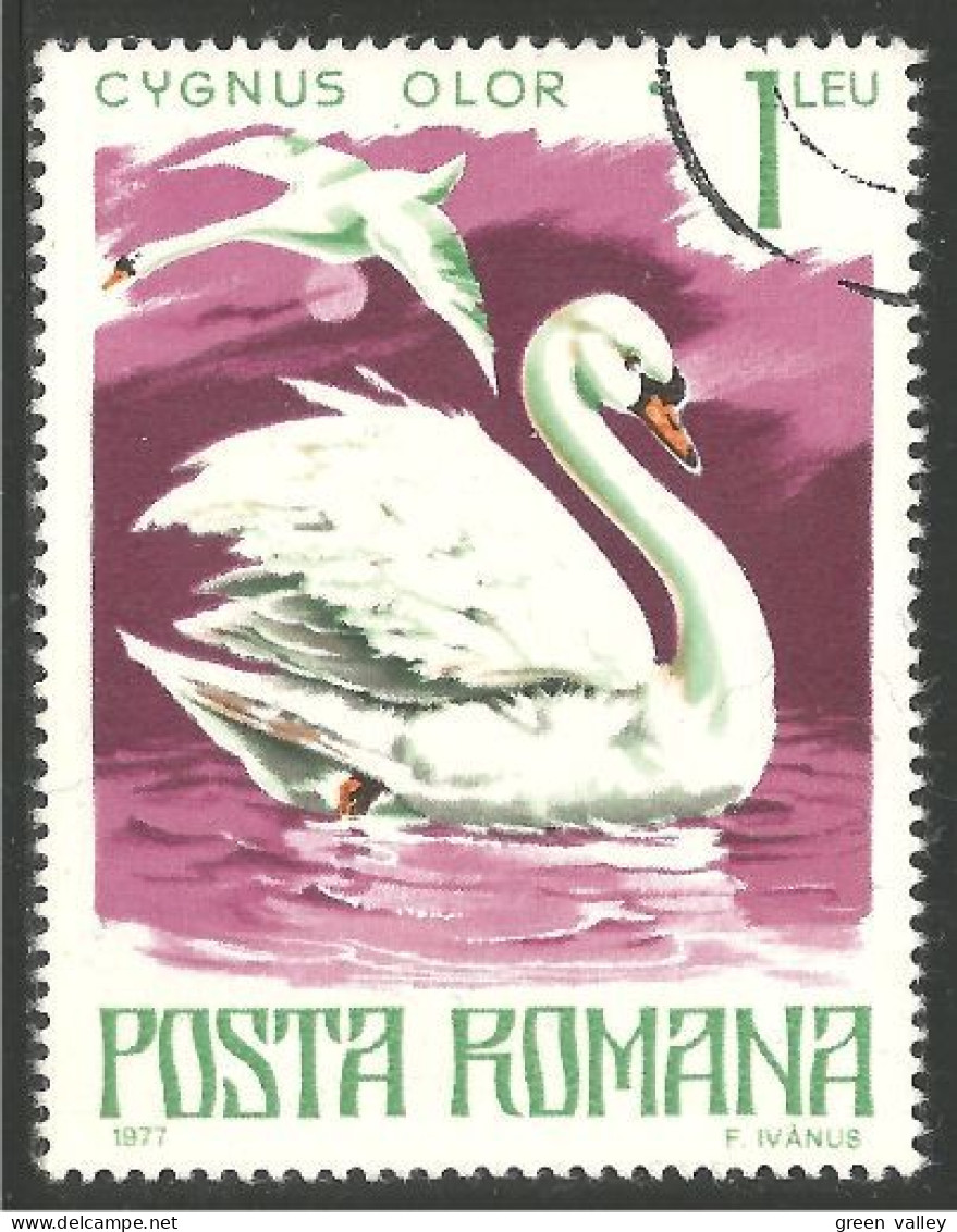 OI-128 Romania Cygne Swan Cisne Schwan Cigno Zwaan - Swans