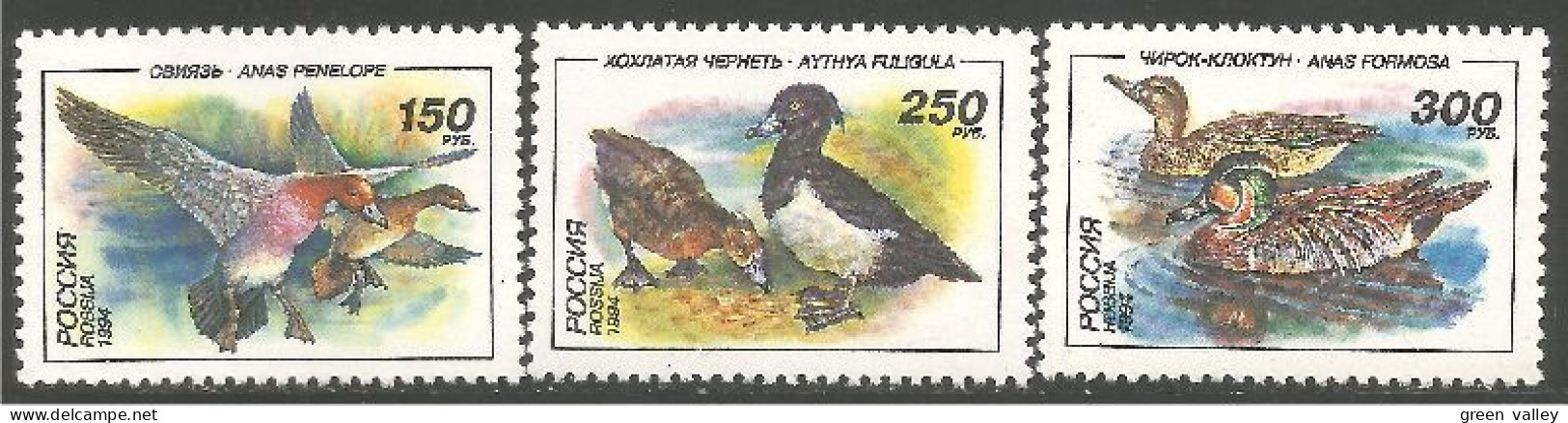 OI-120 Russie 1994 Canards Ducks Ente Anatra Pato Eend MNH ** Neuf SC - Ducks