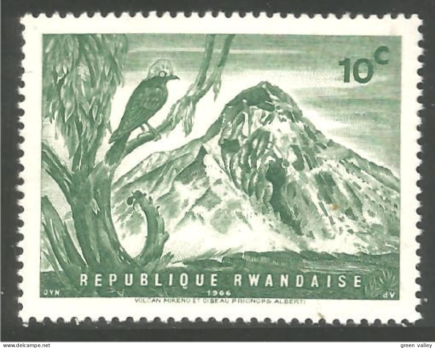 OI-127 Rwanda Oiseau Bird Uccello Vogel - Other & Unclassified