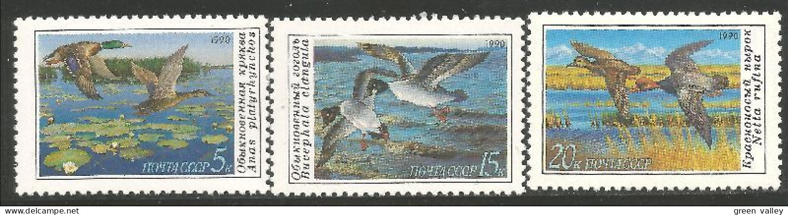 OI-119a Russie 1990 Canards Ducks Ente Anatra Pato Eend MNH ** Neuf SC - Canards