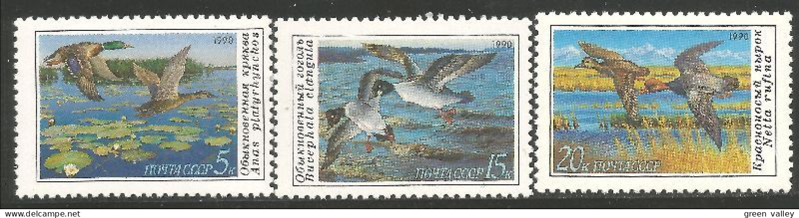 OI-119c Russie 1990 Canards Ducks Ente Anatra Pato Eend MNH ** Neuf SC - Sonstige & Ohne Zuordnung