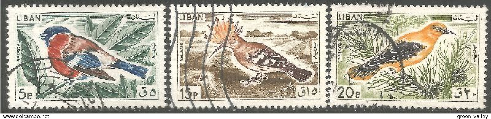 OI-111 Liban Oiseaux Birds Vogel Uccello - Other & Unclassified