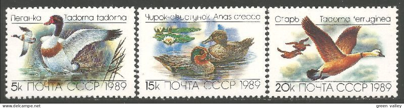 OI-117a Russie 1989 Canards Ducks Ente Anatra Pato Eend MNH ** Neuf SC - Eenden