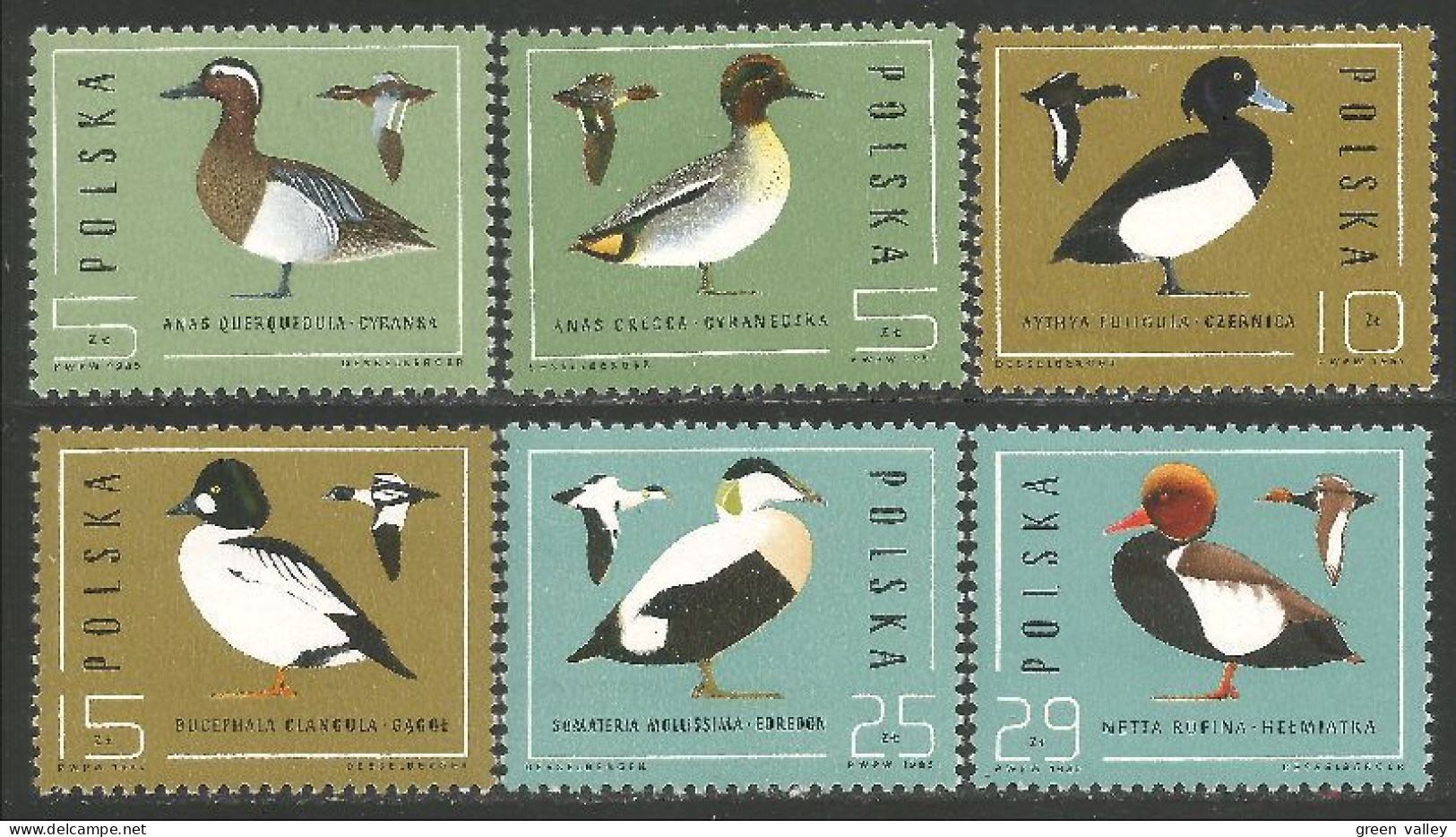 OI-123 Polska Canards Ducks Ente Anatra Pato Eend MNH ** Neuf SC - Entenvögel