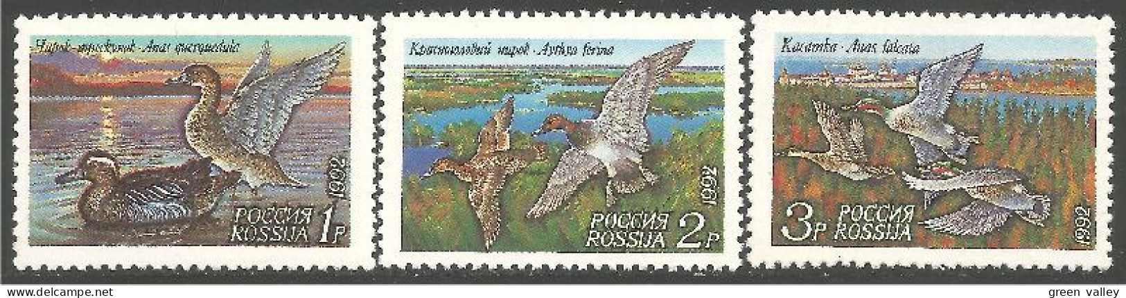 OI-116 Russie 1992 Canards Ducks Ente Anatra Pato Eend MNH ** Neuf SC - Canards