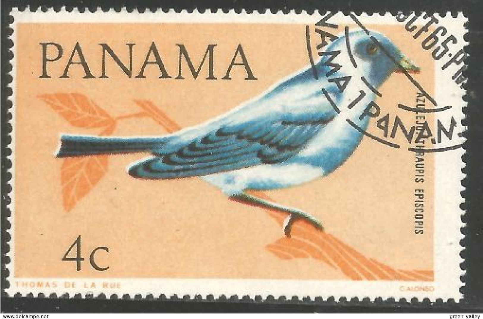 OI-93 Panama Oiseau Bleu Bird Uccello Vogel - Autres & Non Classés