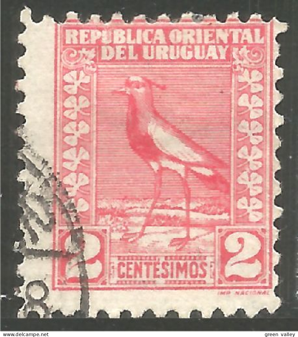 OI-87 Uruguay Oiseau Bird Uccello Vogel - Autres & Non Classés