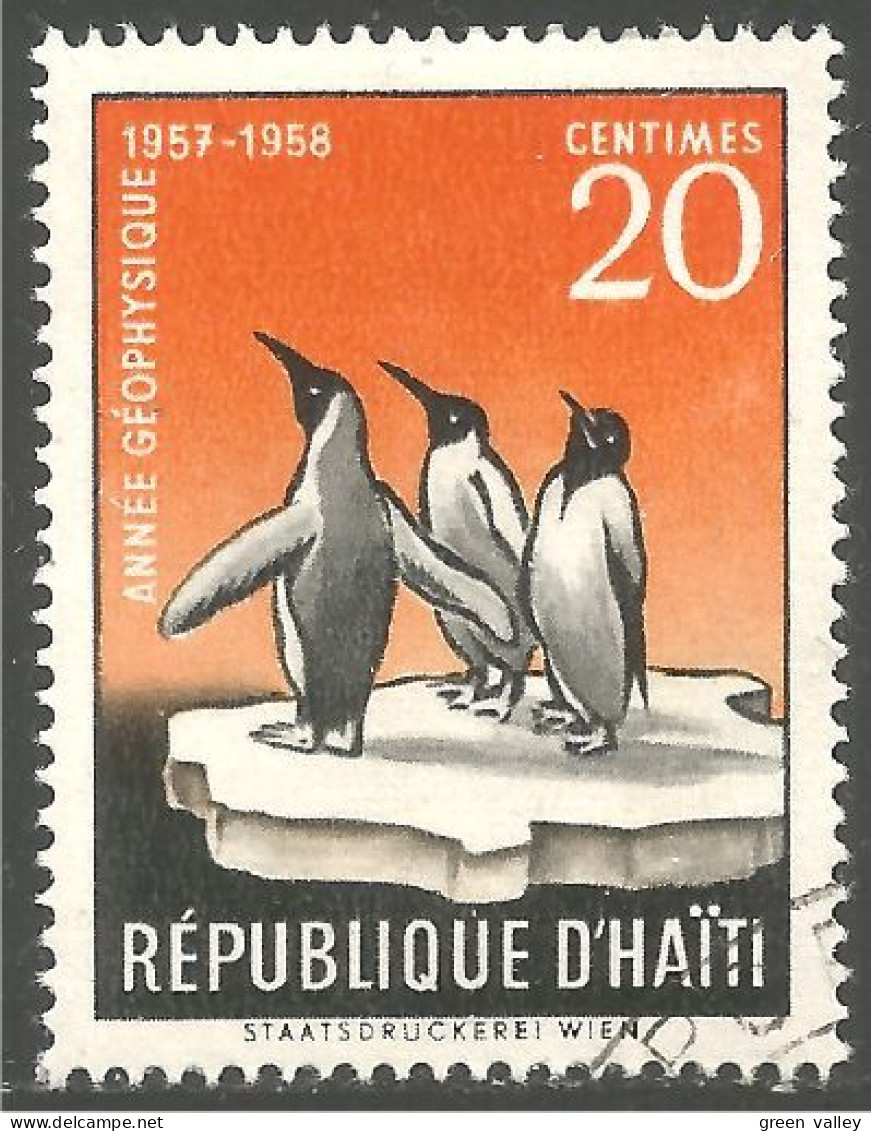 OI-82 Haiti Pingouins Penguins Alk Alca Mergulhao - Pinguïns & Vetganzen