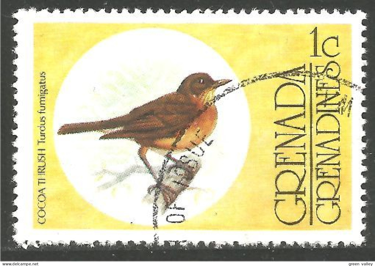 OI-67c Grenada Oiseau Cocoa Thrush Bird Passerine Passereau - Altri & Non Classificati