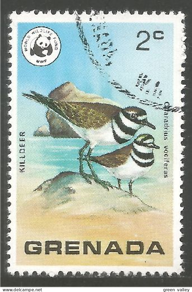 OI-66 Grenada WWF Killdeer Oiseau Bird Uccello Vogel - Sonstige & Ohne Zuordnung