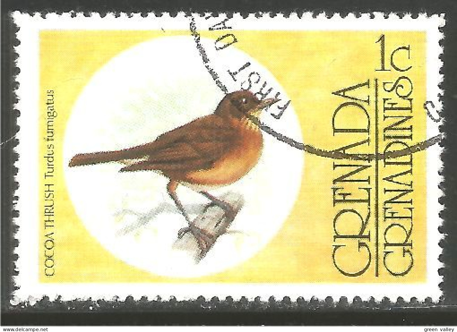 OI-67a Grenada Oiseau Cocoa Thrush Bird Passerine Passereau - Sonstige & Ohne Zuordnung