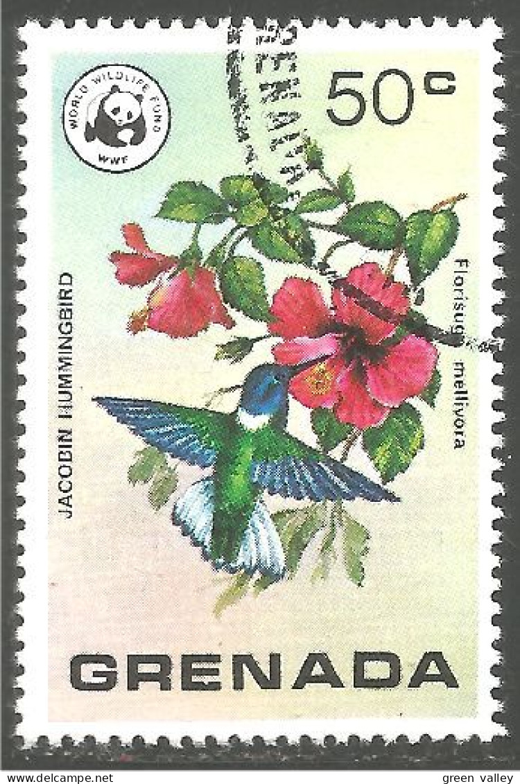 OI-62 Grenada WWF Oiseau Bird Uccello Vogel Oiseau-mouche Colibri Hummingbird - Sonstige & Ohne Zuordnung