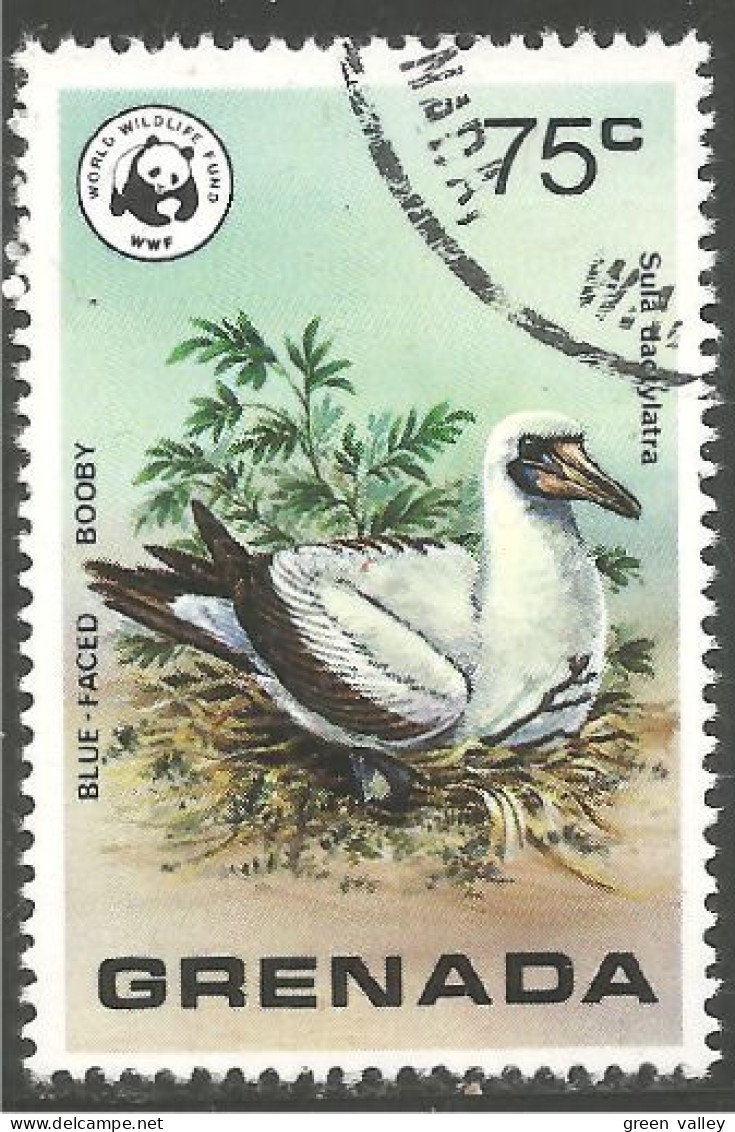 OI-63 Grenada WWF Booby Fou Dummkopf - Mouettes