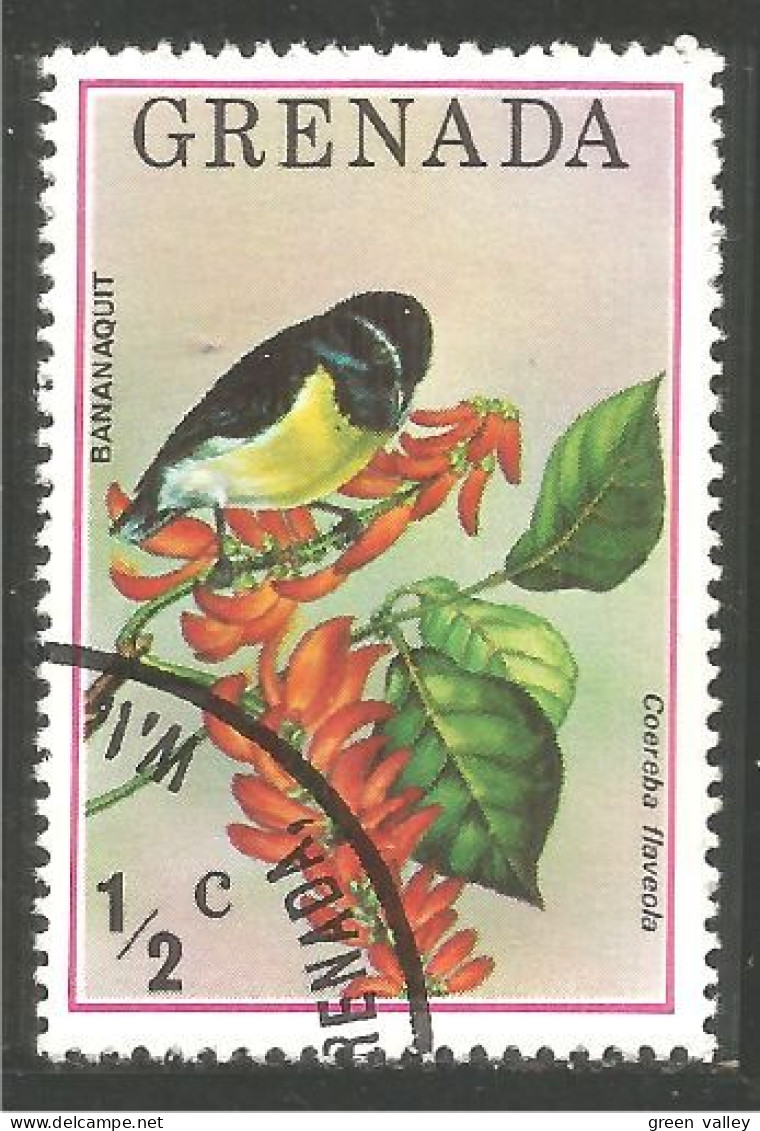 OI-60c Grenada Oiseau Passereau Bananaquit Bird Vogel - Uccelli Canterini Ed Arboricoli