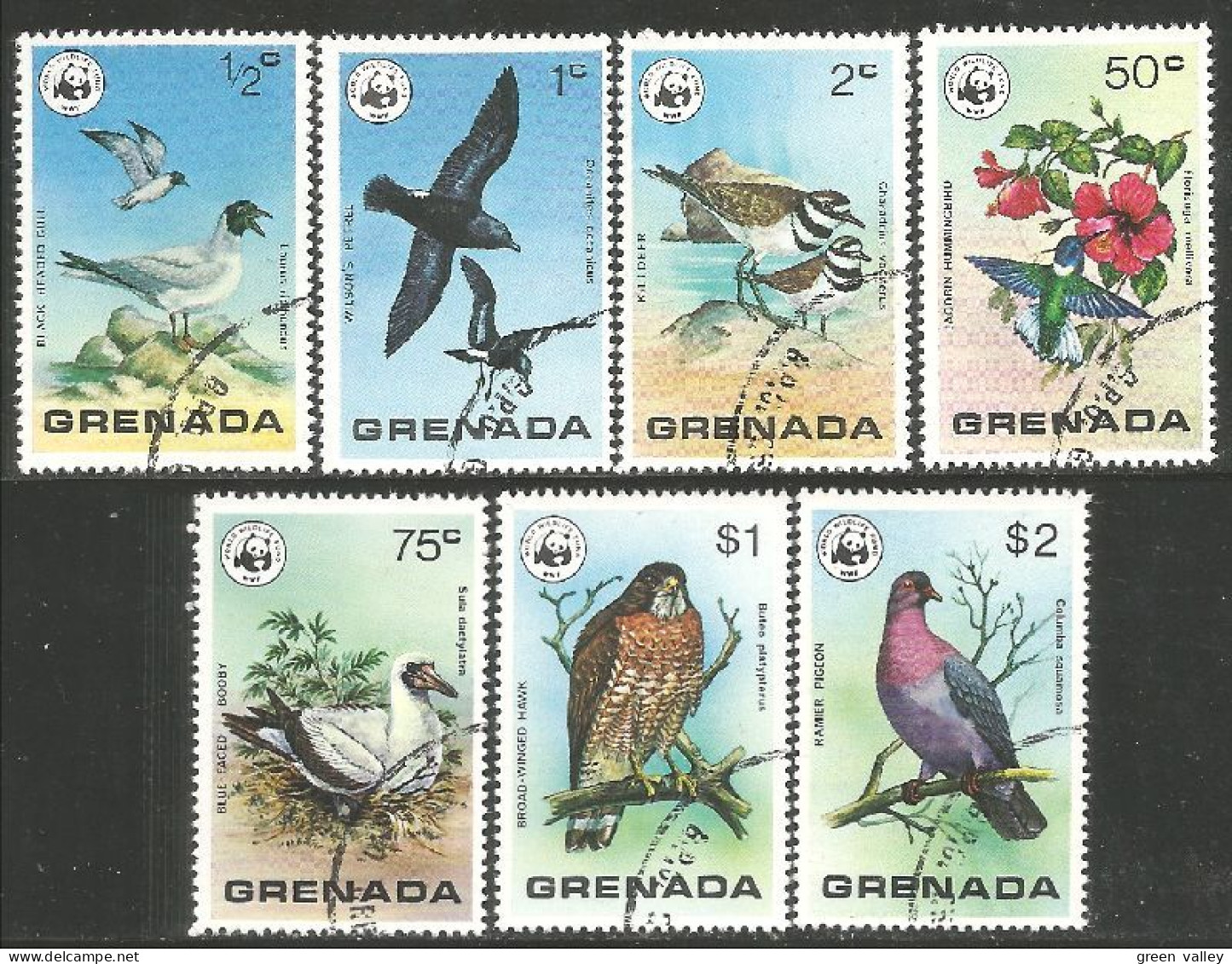 OI-56c Grenada Oiseau Bird Uccello Vogel Pigeon Taube - Palomas, Tórtolas