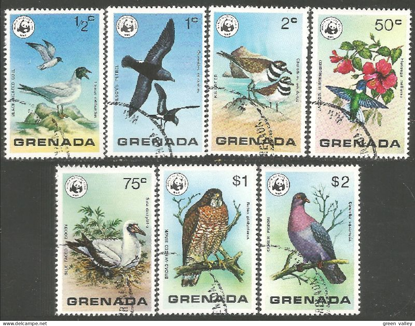 OI-56a Grenada Oiseau Bird Uccello Vogel - Autres & Non Classés