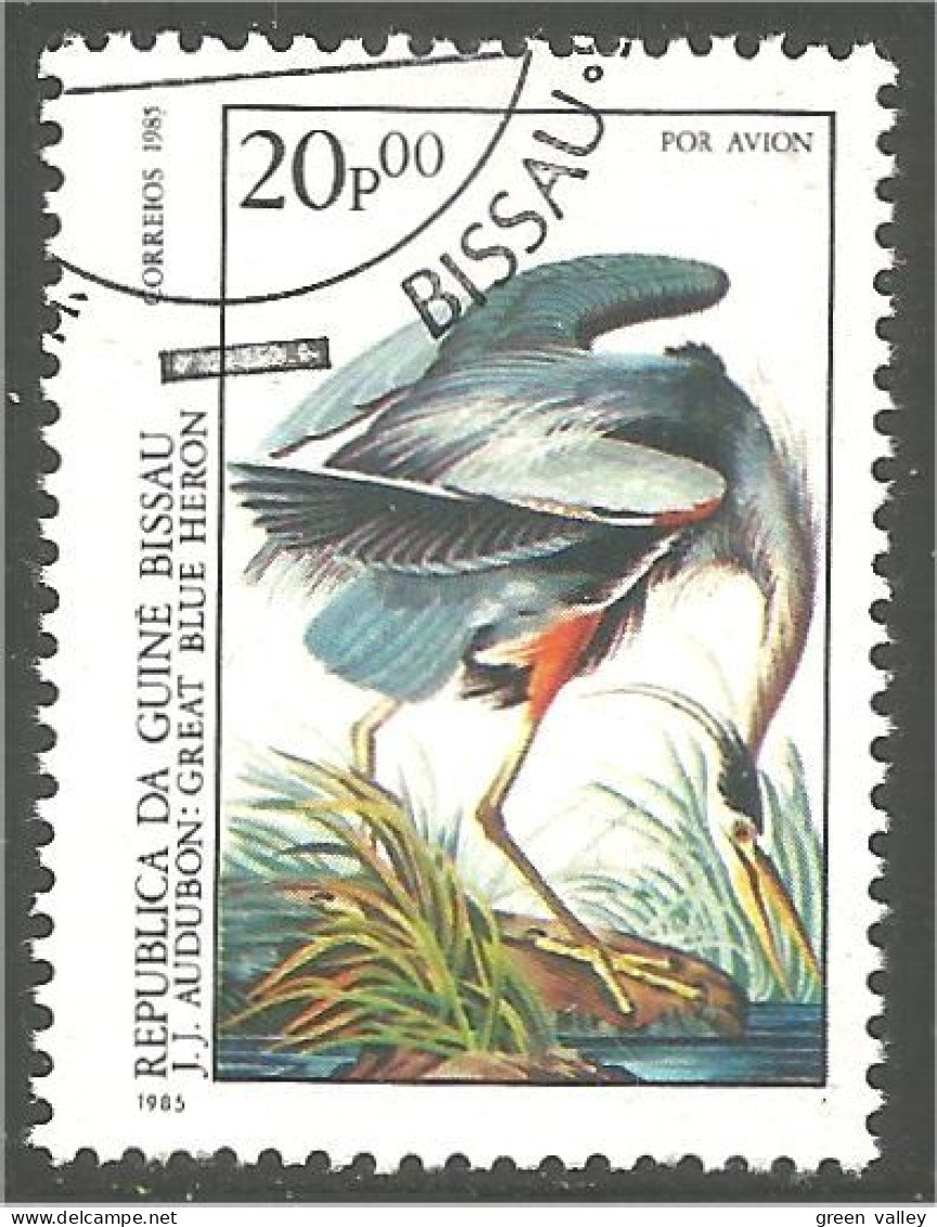 OI-52a Guinea Audubon Heron Garça-real Garza Reiher Reiger - Altri & Non Classificati
