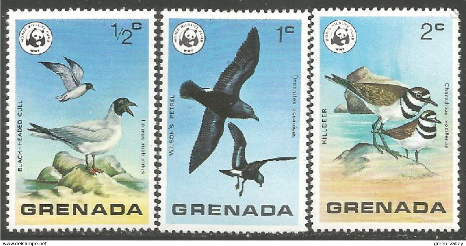 OI-55 Grenada Oiseau De Mer Sea Bird Uccello Vogel MNH ** Neuf SC - Altri & Non Classificati