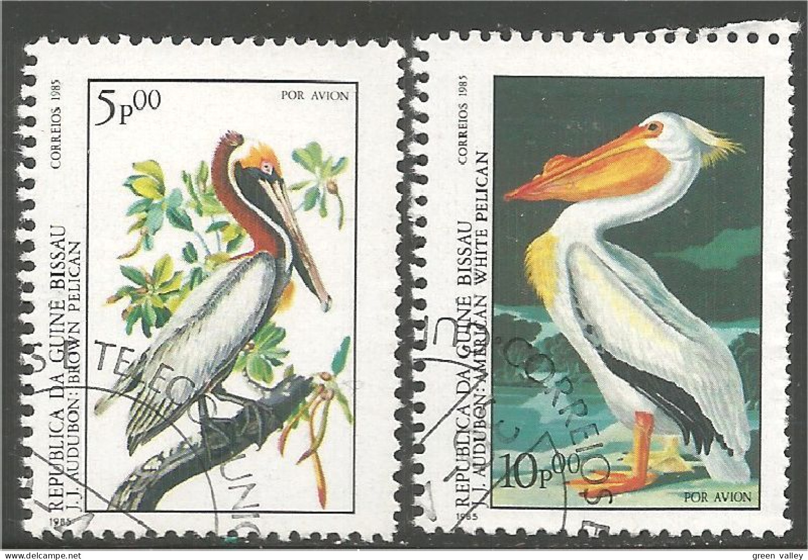 OI-51a Guinea Audubon Pelican Pelikan Pelikaan Pellicano Pelicano - Sonstige & Ohne Zuordnung