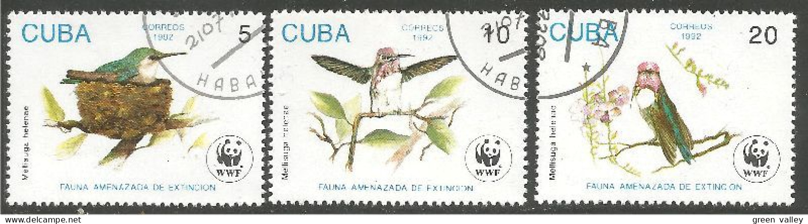 OI-41b Cuba Oiseau Bird WWF 1982 - Other & Unclassified