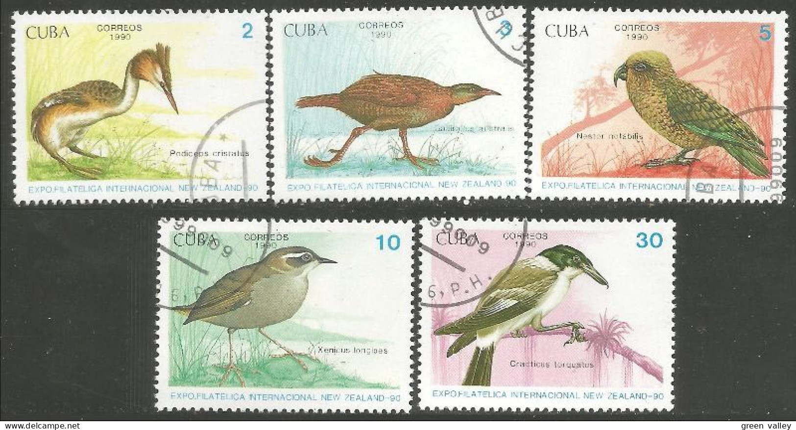 OI-44e Cuba New Zealand 90 Oiseau Bird Uccello Vogel - Otros & Sin Clasificación