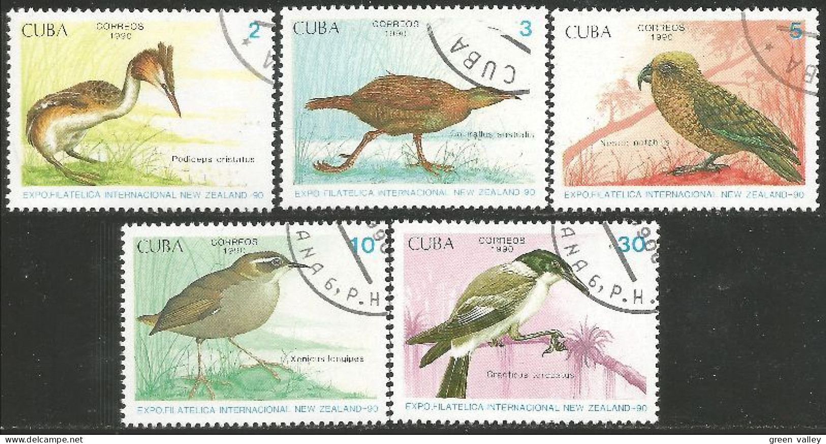 OI-44a Cuba New Zealand 90 Oiseau Bird Uccello Vogel - Usados