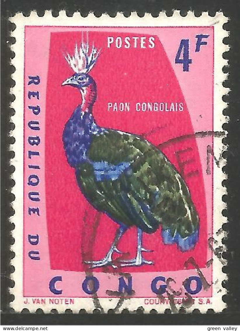 OI-31b Congo Paon Peacock Pfau Pavone Pavo Pacao Pauw - Pfauen