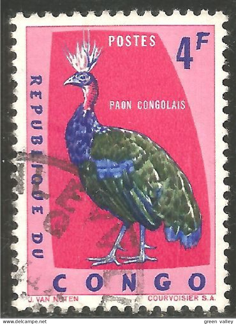 OI-31a Congo Paon Peacock Pfau Pavone Pavo Pacao Pauw - Altri & Non Classificati