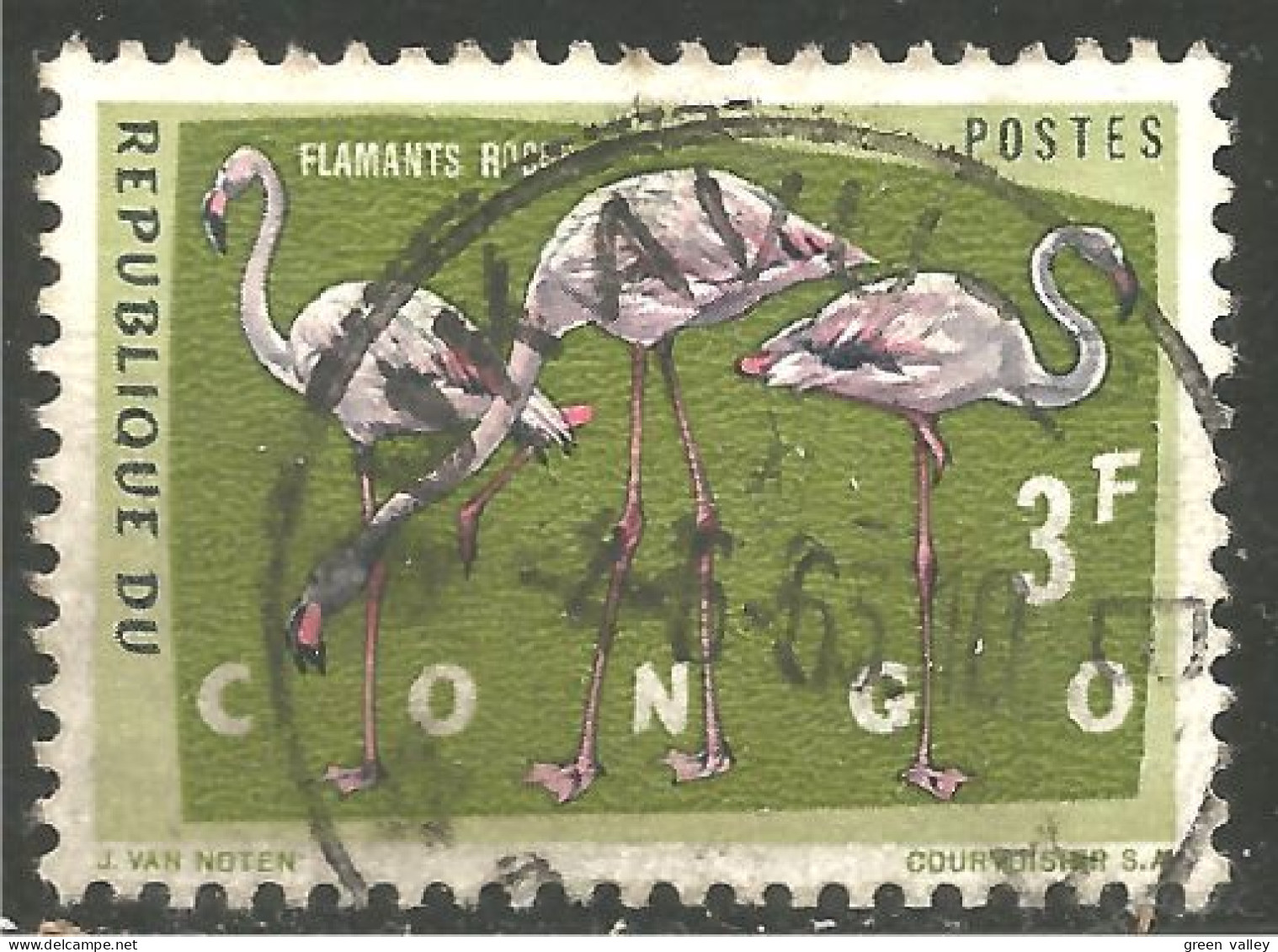 OI-30b Congo Flamant Rose Flamingo Flamenco Fenicottero - Flamingos