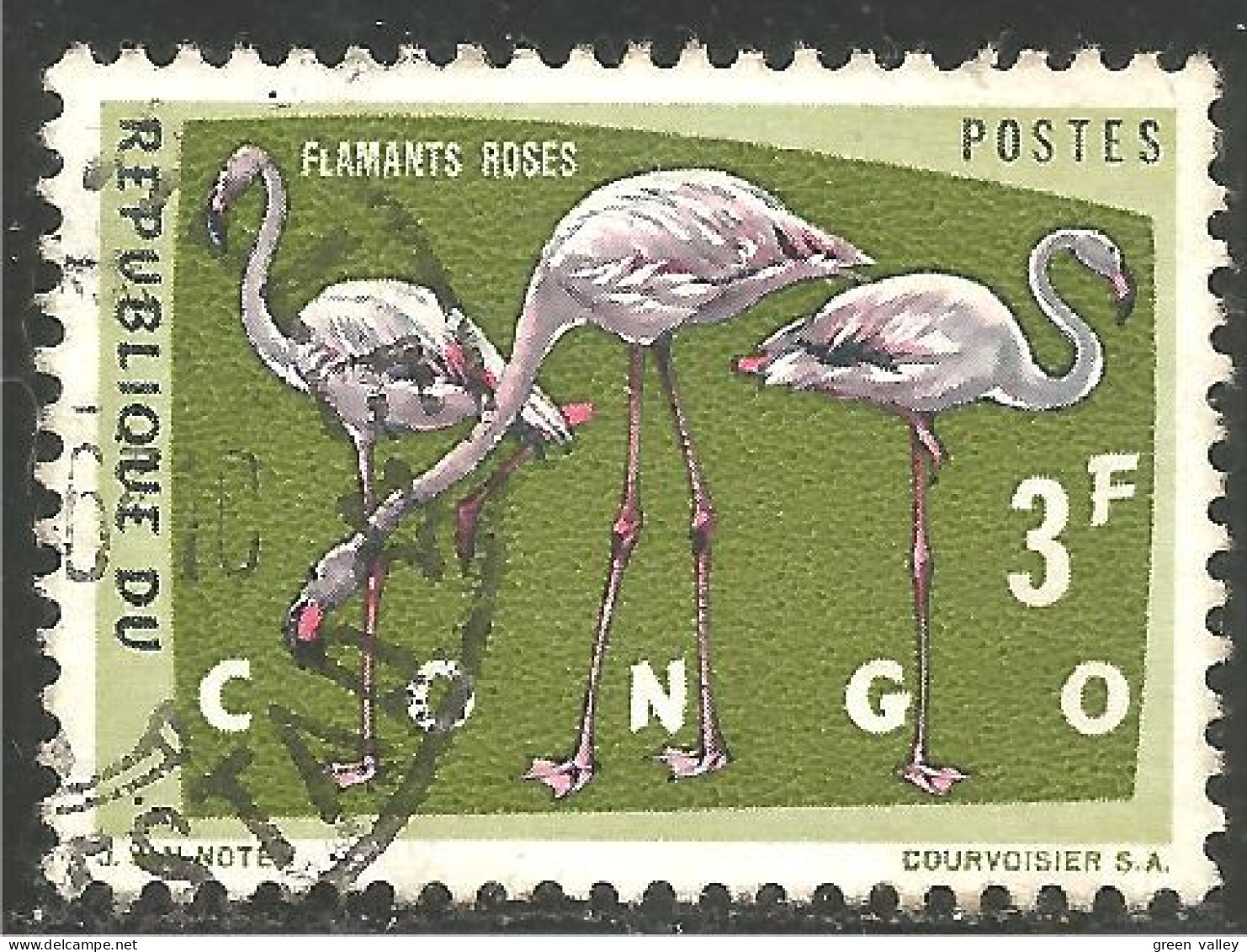 OI-30a Congo Flamant Rose Flamingo Flamenco Fenicottero - Otros & Sin Clasificación