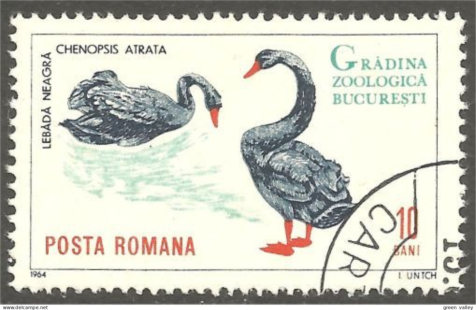 OI-24 Romania Cygne Noir Black Swan Cisne Negro Schwarzer Schwan Cigno Nero Zwarte Zwaan - Andere & Zonder Classificatie