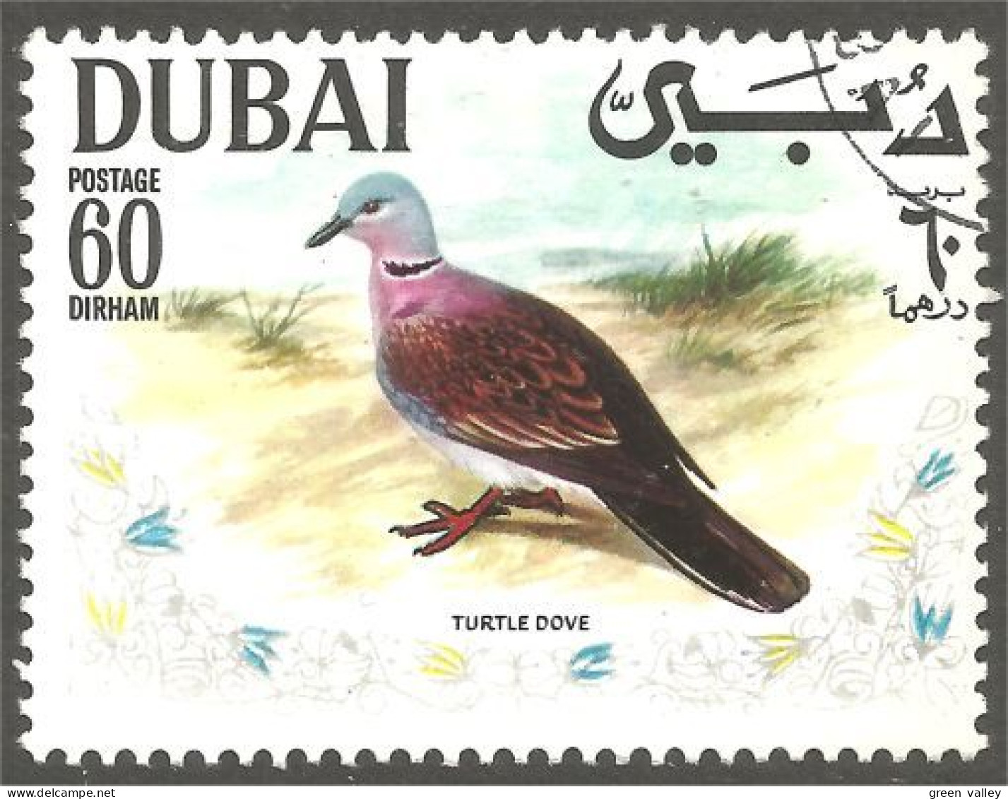 OI-18 Dubai Pigeon Duif Taube Paloma Piccione - Pigeons & Columbiformes