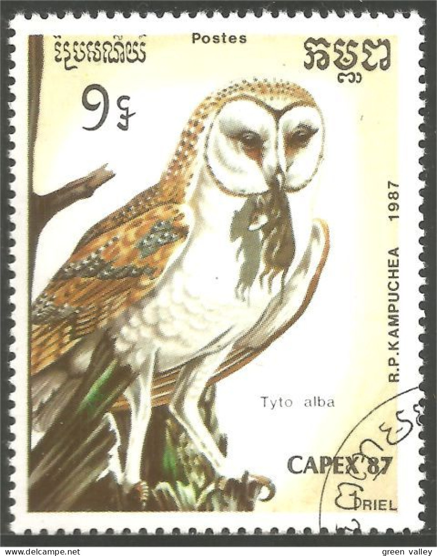 OI-12 Kampuchea Hibou Chouette Owl Eule Gufo Uil Buho - Eulenvögel