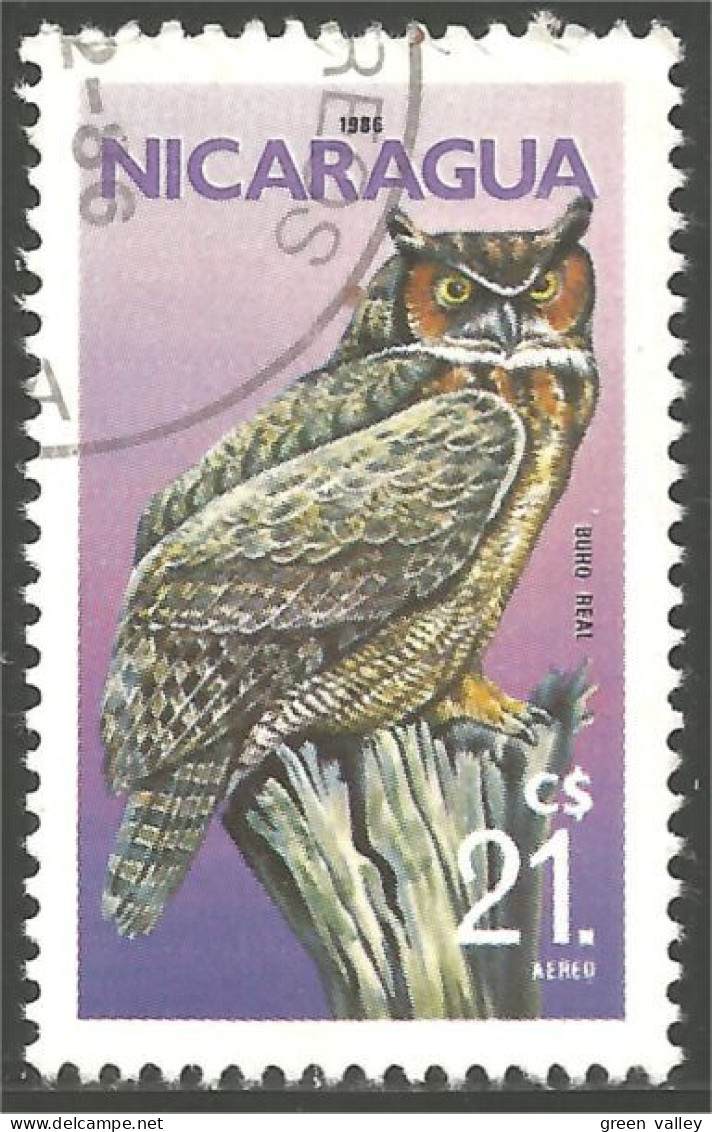 OI-9 Nicaragua Hibou Chouette Owl Eule Gufo Uil Buho - Owls