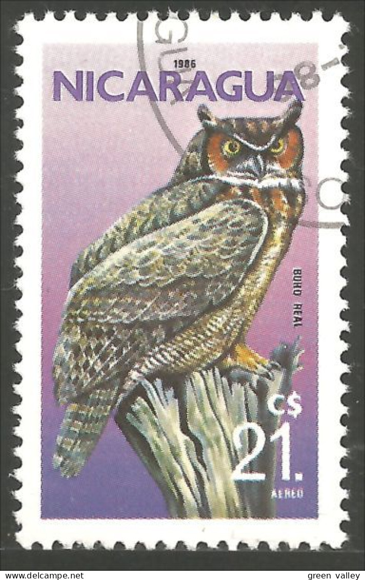 OI-10 Nicaragua Hibou Chouette Owl Eule Gufo Uil Buho - Owls