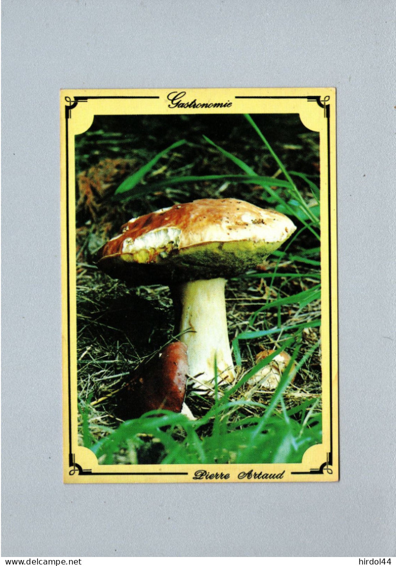 Champignons - Pilze