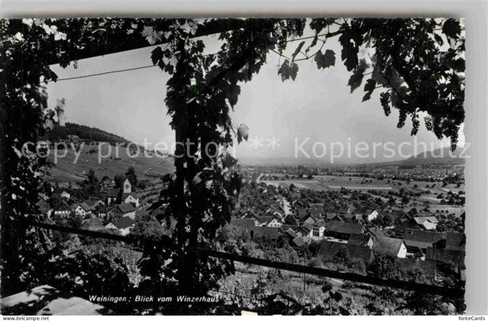 12728279 Weiningen ZH Blick Vom Winzerhaus Weiningen ZH - Sonstige & Ohne Zuordnung